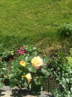 36462504-9F99-41EA-A80C-B0ACAC49A996.webp