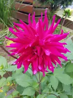 20190615_144431.webp