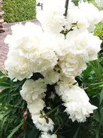 20190616_142505.webp