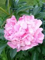 20190614_205146.webp