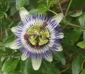 20190616_162338.webp