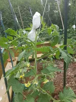 20190616_161834.webp
