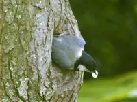 image004.webp