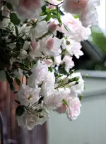 image002.webp