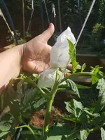 20190616_172355.webp
