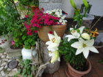 DSC00410.JPG