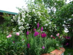 DSC00405.JPG