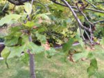 746700CE-9366-46FF-83F6-2234EA69DF58.jpeg