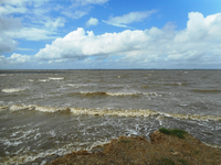 Nordsee 12.webp