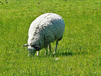 Nordsee 16.webp
