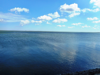 Nordsee 18.webp