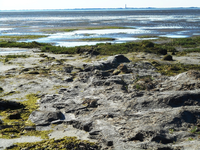 Nordsee 21.webp