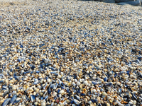 Nordsee 4.JPG