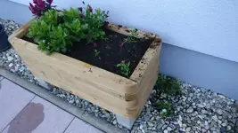 IMG-20190617-WA0000.webp