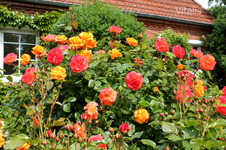 Greetsiel 4.webp