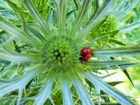 DSCF2300 (2).webp