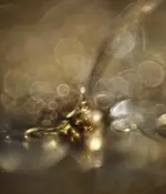 0M3A9804.webp 0M3A9804.webp