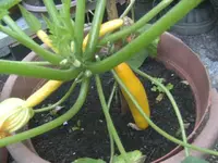 BILD1152.webp