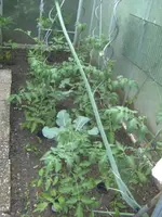 BILD1153.webp