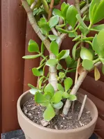 20190617_152800.webp