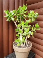20190617_152731.webp