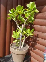 20190617_152353.webp