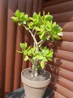 20190617_152336.webp