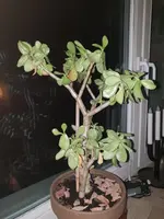 20190510_221042.webp