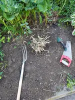 20190617_143505_resized.webp