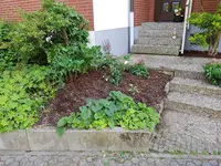 20190617_164951_resized.webp