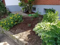20190617_165015_resized.webp