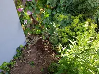20190617_165032_resized.webp