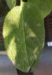 IMG_20190617_205809.jpg