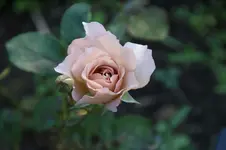 DSC07849.webp