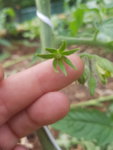 20190616_161924.jpg