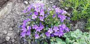 20190617_195755.webp