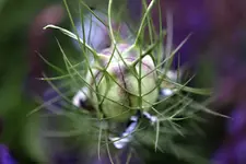 image006.webp