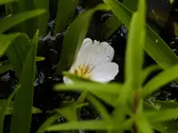 image008.webp