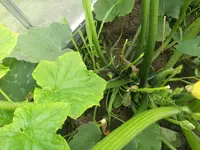 IMG_20190618_172757.webp