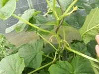 IMG_20190618_172822.webp