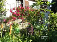 101_0899.webp
