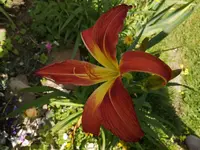 IMG_20190617_165835.webp