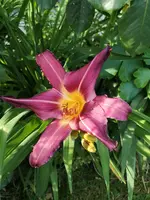 IMG_20190618_185220.webp