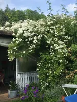 2018-06-11 Bobby James1.webp