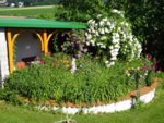 DSC00431.JPG