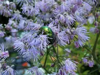 DSCF2351 (2).webp