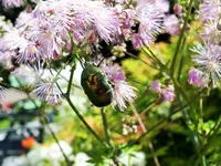 DSCF2350 (2).webp