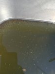 IMG_20190619_084316.jpg