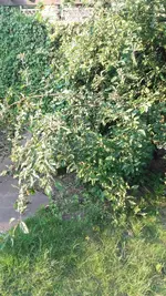 20190618_200038.webp