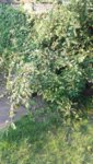 20190618_200038.jpg